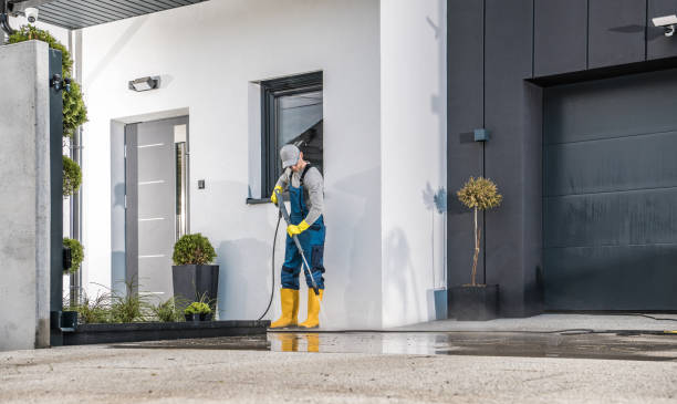Best Graffiti Removal  in Valley Springs, CA